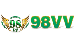 998vv.net
